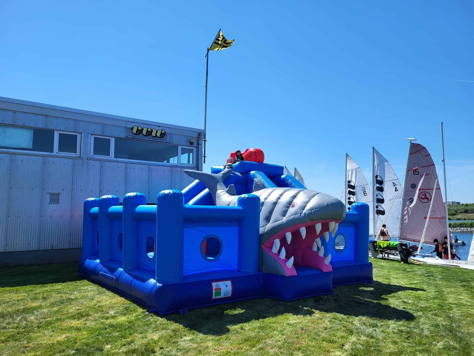 shark.jpg